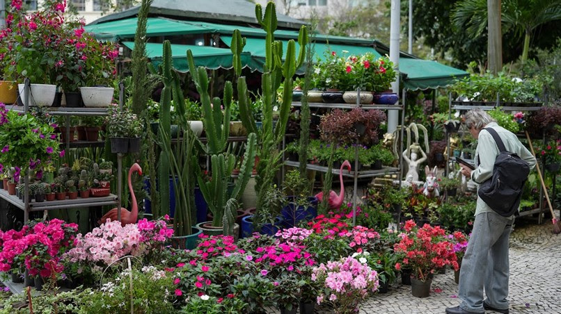 por-tras-de-arranjos-e-buques,-floristas-conciliam-tradicao,-afeto-e-os-desafios-do-mercado por-tras-de-arranjos-e-buques,-floristas-conciliam-tradicao,-afeto-e-os-desafios-do-mercado