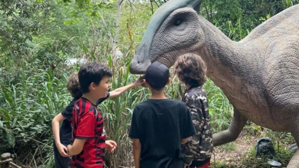 ferias-escolares:-destinos-do-interior-do-rj-para-passear-com-as-criancas-em-julho ferias-escolares:-destinos-do-interior-do-rj-para-passear-com-as-criancas-em-julho