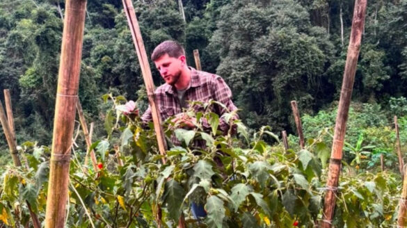 leis-aprovadas-pela-alerj-fortalecem-a-agricultura-familiar-e-valorizam-quem-produz-alimentos-no-rio leis-aprovadas-pela-alerj-fortalecem-a-agricultura-familiar-e-valorizam-quem-produz-alimentos-no-rio