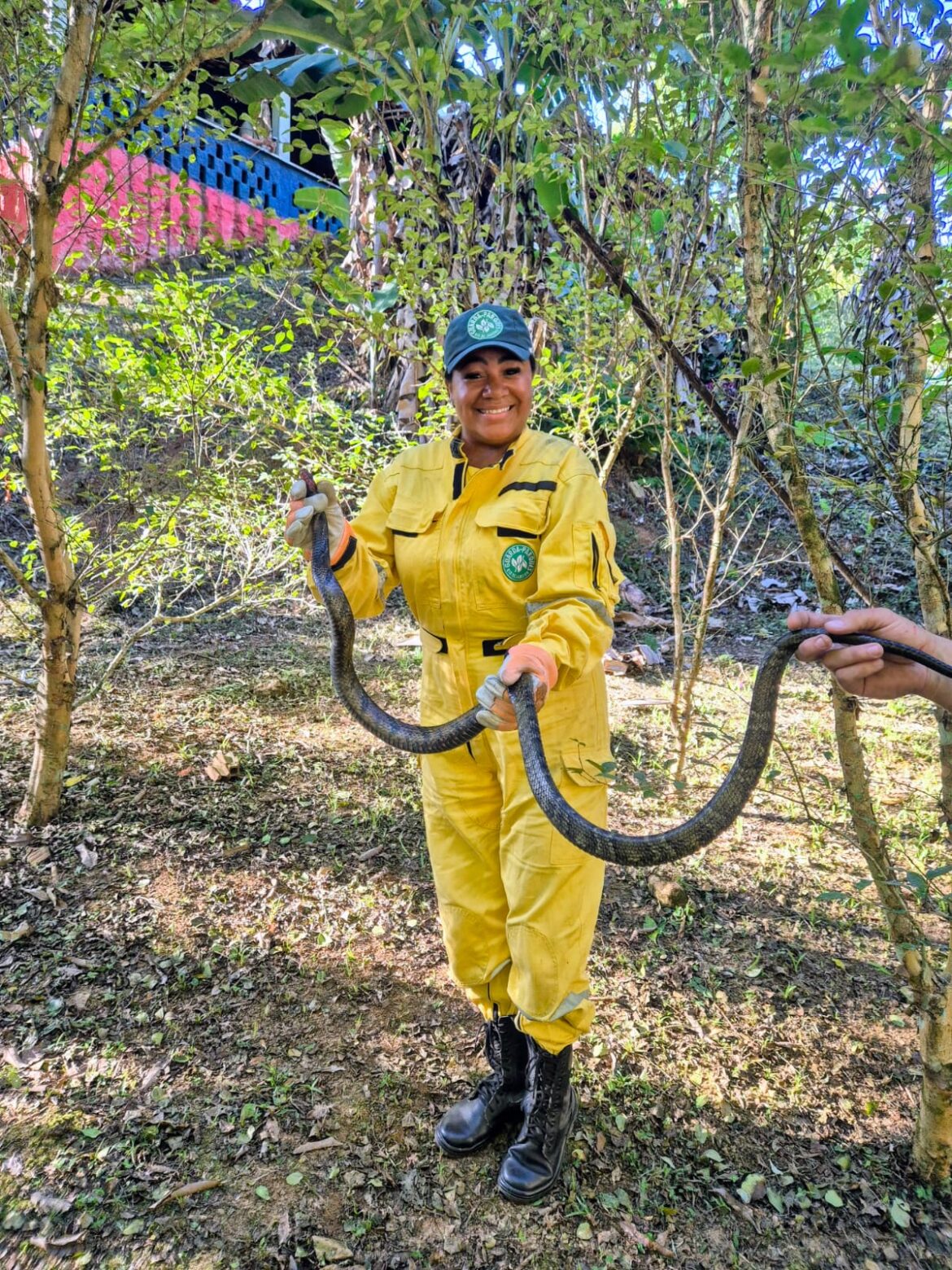 inea-resgata-serpente-de-quase-dois-metros-em-campus-da-puc,-em-nova-iguacu