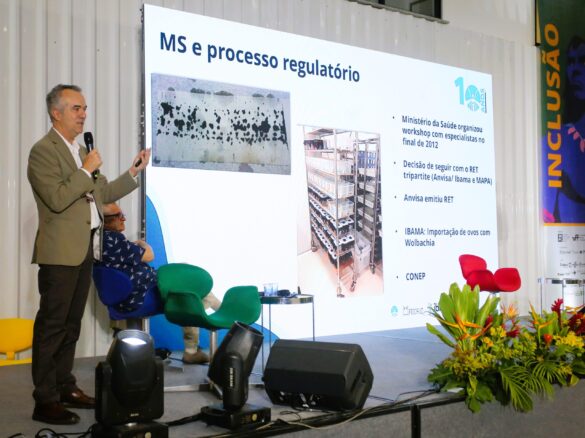 niteroi-e-referencia-no-uso-do-metodo-wolbachia-contra-a-dengue niteroi-e-referencia-no-uso-do-metodo-wolbachia-contra-a-dengue