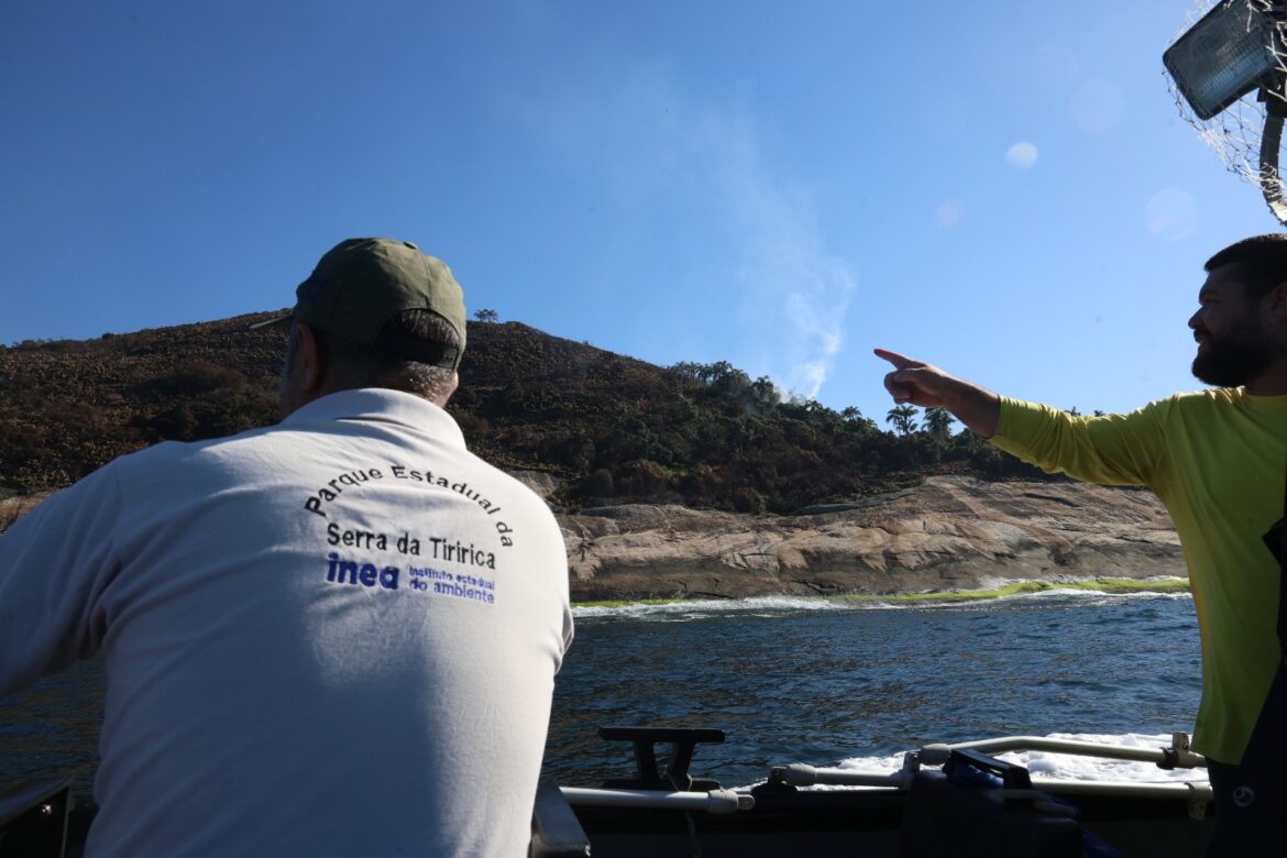 inea-avalia-impactos-de-incendio-na-ilha-pai-e-define-plano-de-acoes-para-recuperacao-da-area inea-avalia-impactos-de-incendio-na-ilha-pai-e-define-plano-de-acoes-para-recuperacao-da-area