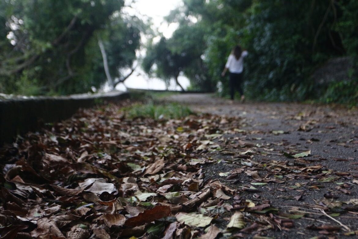 estado-do-rio-de-janeiro-registra-28-mil-casos-de-acidentes-com-animais-potencialmente-transmissores-de-raiva-entre-janeiro-e-julho estado-do-rio-de-janeiro-registra-28-mil-casos-de-acidentes-com-animais-potencialmente-transmissores-de-raiva-entre-janeiro-e-julho