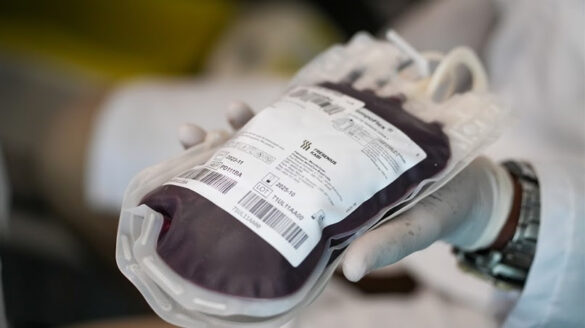 alerj-realiza-campanha-de-doacao-de-sangue-em-parceria-com-hemorio