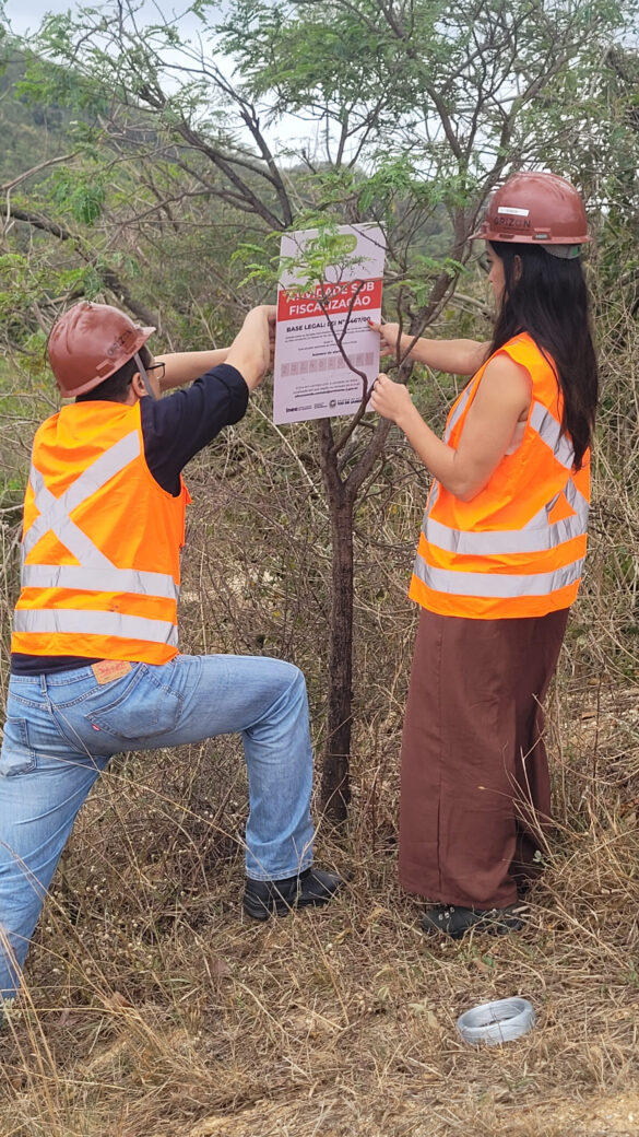 sao-goncalo-participa-de-operacao-de-combate-ao-desmatamento-da-mata-atlantica sao-goncalo-participa-de-operacao-de-combate-ao-desmatamento-da-mata-atlantica