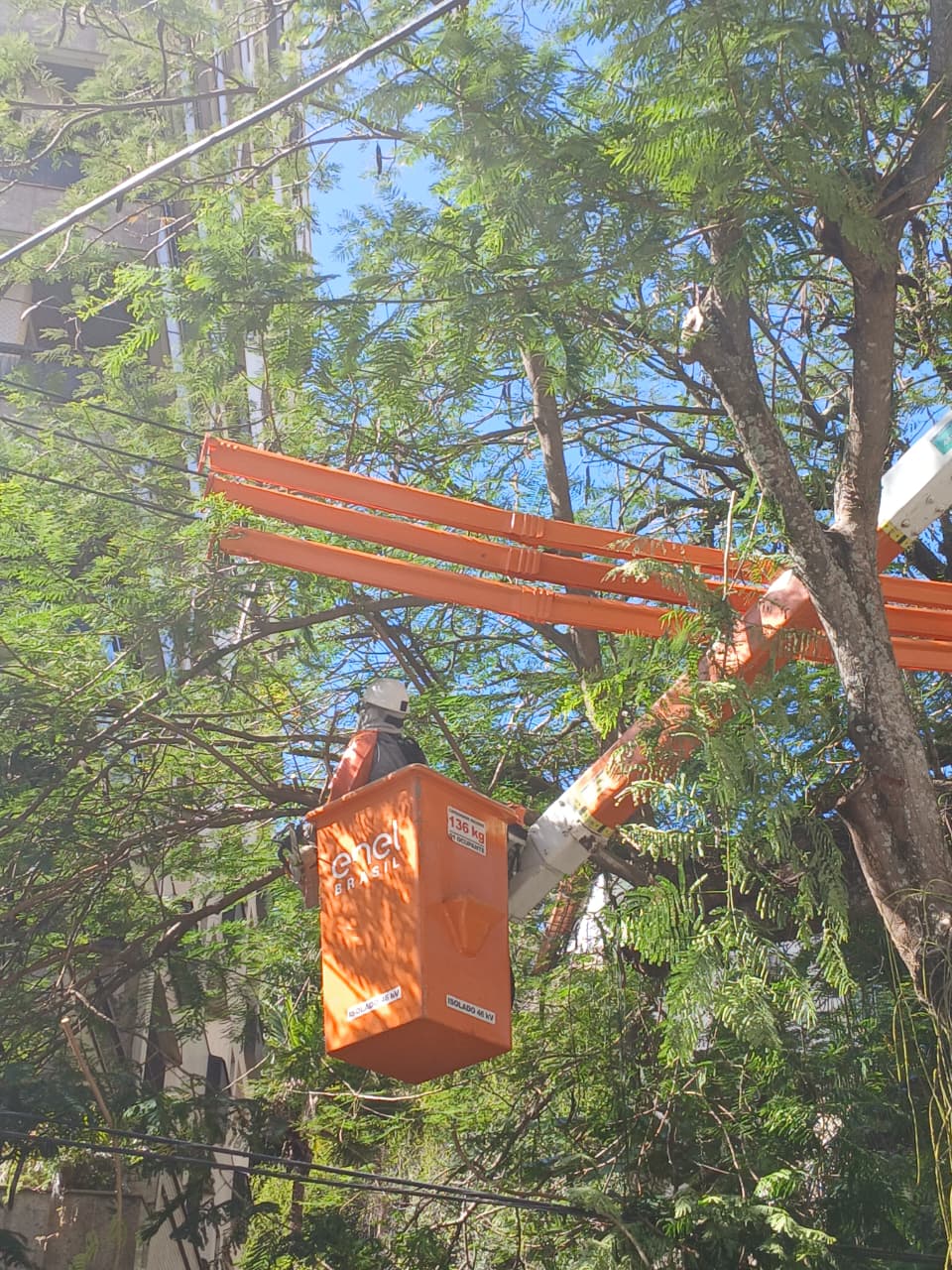 enel-rio-realiza-mais-de-360-mil-podas-na-sua-area-de-concessao-no-primeiro-semestre-deste-ano enel-rio-realiza-mais-de-360-mil-podas-na-sua-area-de-concessao-no-primeiro-semestre-deste-ano