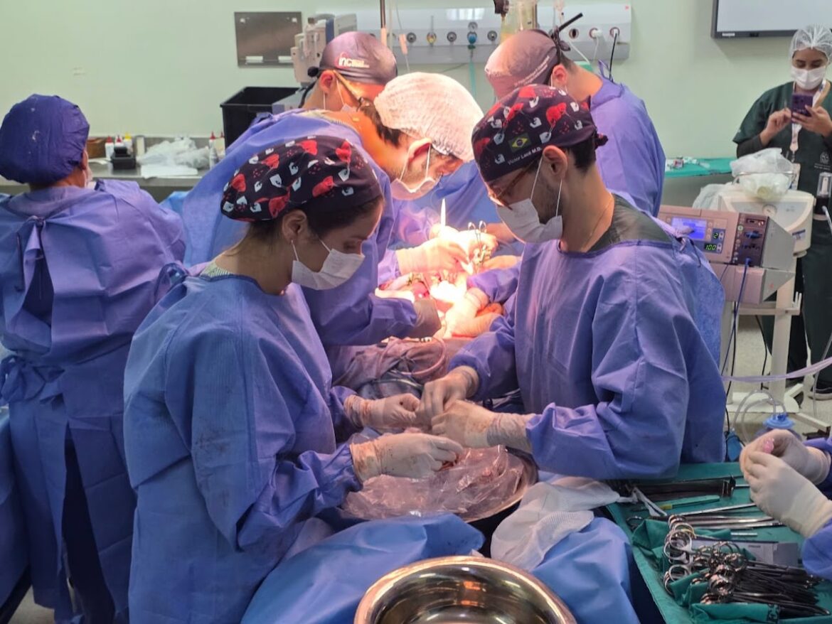 estado-do-rio-realiza-primeiro-transplante-de-intestino-isolado estado-do-rio-realiza-primeiro-transplante-de-intestino-isolado