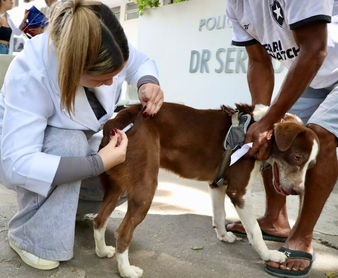 prefeitura-de-niteroi-inicia-campanha-de-vacinacao-antirrabica-animal-neste-sabado-(12) prefeitura-de-niteroi-inicia-campanha-de-vacinacao-antirrabica-animal-neste-sabado-(12)