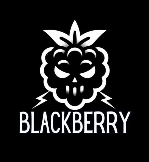 blackberry-leva-a-forca-do-rock-para-o-palco-da-vila-cervejeira,-em-niteroi blackberry-leva-a-forca-do-rock-para-o-palco-da-vila-cervejeira,-em-niteroi