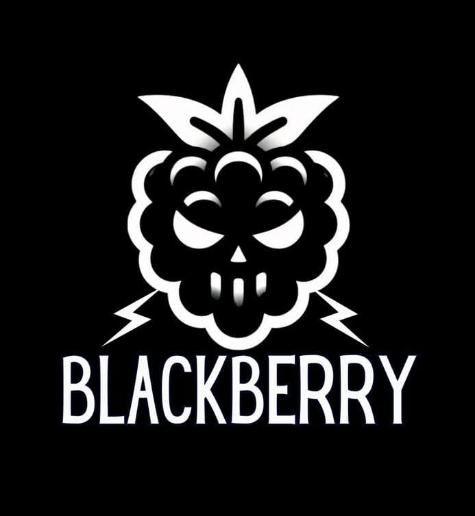 BlackBerry leva a força do rock para o palco da Vila Cervejeira, em Niterói 267 35927 blackberry leva a forca do rock para o palco da vila cervejeira em niteroi